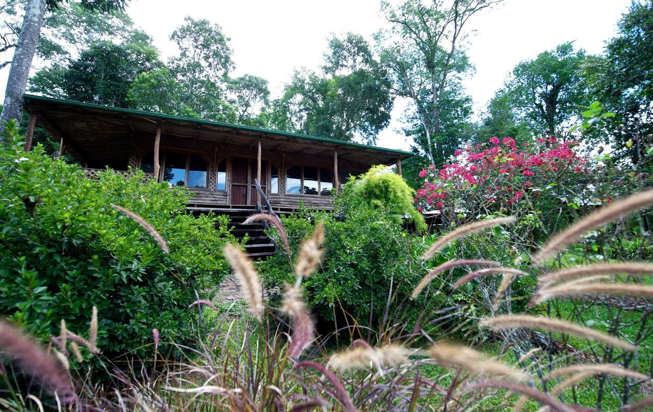 La Mision Mocona - Lodge de Selva Saltos del Moconá Camera foto