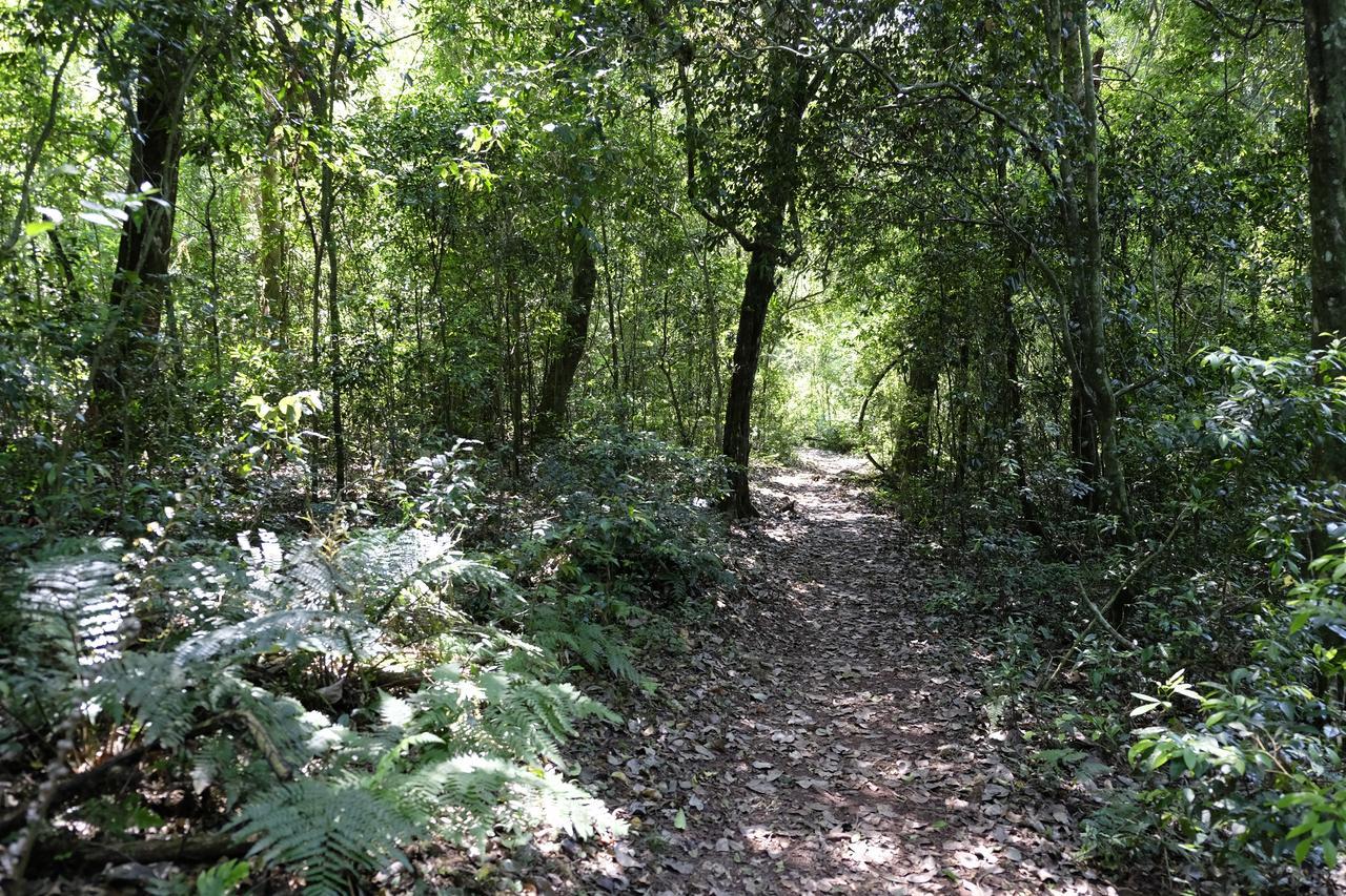 La Mision Mocona - Lodge de Selva Saltos del Moconá Esterno foto